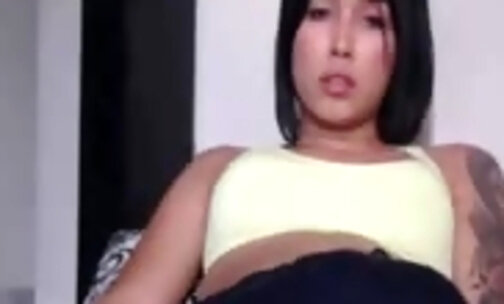 Cute big tits teen tranny webcam