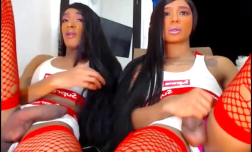 Huge cocks ebony Tranny couple webcam