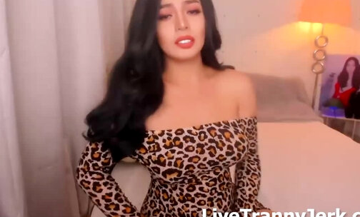 lovelybitchintown shemale cam