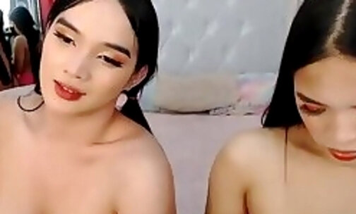 lindsyfoster transsexual webcam