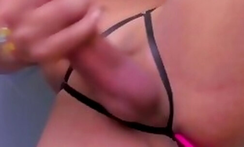 brazilian transsexual stiff huge dick on view cam