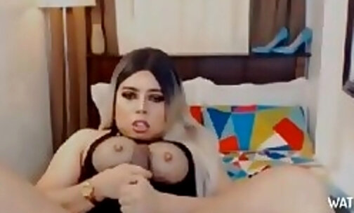 Busty transsexual strokes her hard shecock