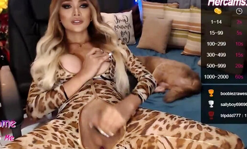 Leopard print body suit tgirl and her puppy webcam show